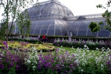 Royal Botanical Gardens (Kew Gardens) 