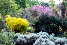 Royal Botanical Gardens (Kew Gardens) 