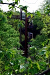 Royal Botanical Gardens (Kew Gardens) - Tree Canopy Walk