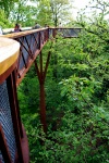 Royal Botanical Gardens (Kew Gardens) - Tree Canopy Walk