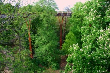 Royal Botanical Gardens (Kew Gardens) - Tree Canopy Walk