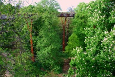 Royal Botanical Gardens (Kew Gardens) - Tree Canopy Walk