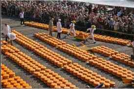 Alkmaar Cheese Auction