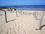 Zandvoort  Beach