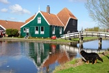 Zaandam