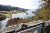 Forest Tay Area Forest Tay Area