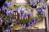 Riquewihr, France Riquewihr, France