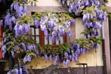 Riquewihr, France