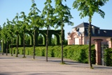 Schloss Schwetzingen Gardens Schloss Schwetzingen Gardens