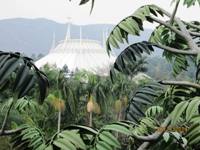 Hong Kong Disneyland - Space Mountain