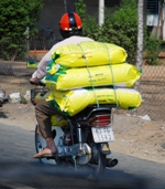 Mekong Delta Day Trip