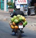 Mekong Delta Day Trip