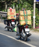 Mekong Delta Day Trip