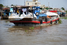 Mekong Delta Day Trip