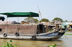 Mekong Delta Day Trip