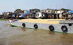 Mekong Delta Day Trip