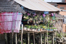 Mekong Delta Day Trip