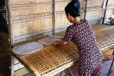 Mekong Delta Day Trip