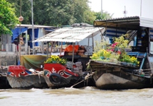 Mekong Delta Day Trip