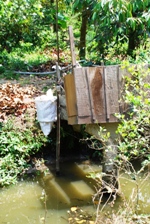 Mekong Delta Day Trip