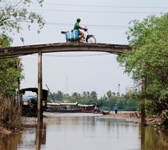 Mekong Delta Day Trip