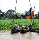 Mekong Delta Day Trip