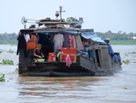 Mekong Delta Day Trip