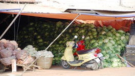 Mekong Delta Day Trip