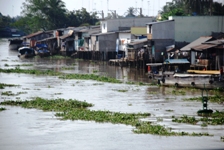 Mekong Delta Day Trip