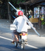 Mekong Delta Day Trip