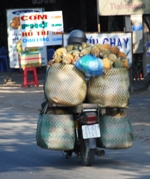 Mekong Delta Day Trip