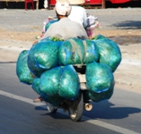 Mekong Delta Day Trip