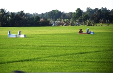 Mekong Delta Day Trip