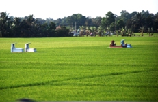 Mekong Delta Day Trip