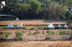 Mekong Delta Day Trip