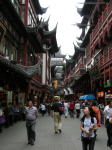 Chinese Market Area