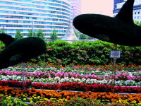 Nagoya Train Station Flower Festival