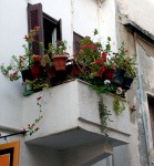 Chania Old Town