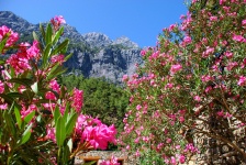 Samaria Gorge Trail