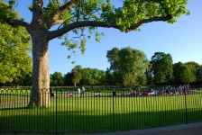 Hyde Park Scenes - Princess Diana Memorial Fountain