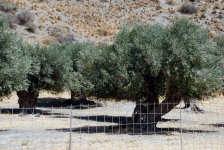 South Crete Scenes - Road to Previlli Beach