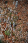 Crete - Anethena Gorge