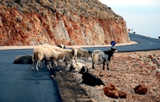 Crete Roadway