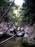 Samos - Potami Waterfalls