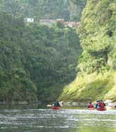 Whanganui National Park