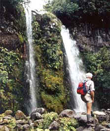 Mt Egmont National Park - Dawson Falls