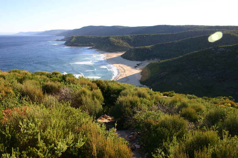 Royal National Park