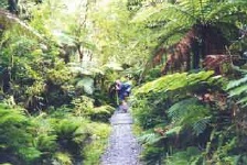 Milford Track