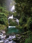 Milford Track