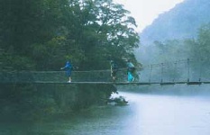 Milford Track